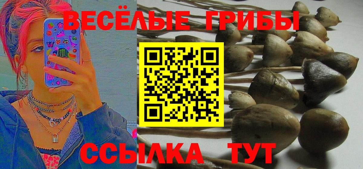 Магнитогорск  Галлюциногенные грибы Psilocybine cubensis  где продают наркотики  Галлюциногенные грибы ЛСД  Вход с VPN 